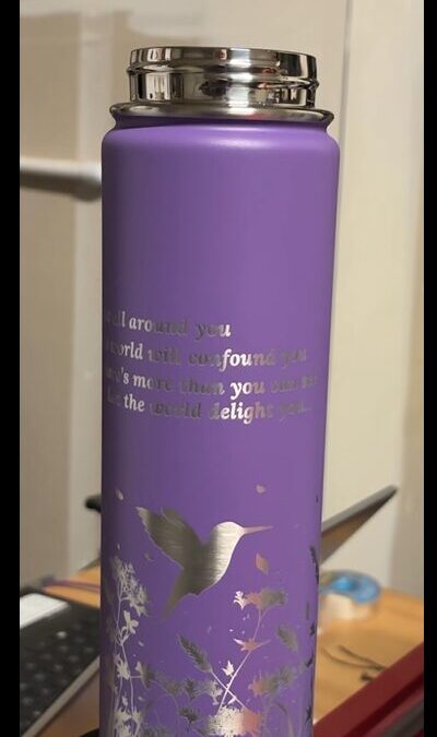 24OZ Stainless Water Bottle (Click For Video)