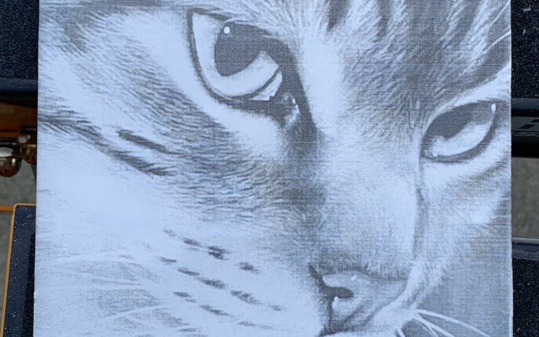 Cat on Ceramic Tile