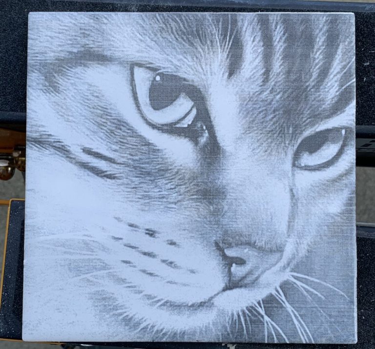 Cat on Ceramic Tile