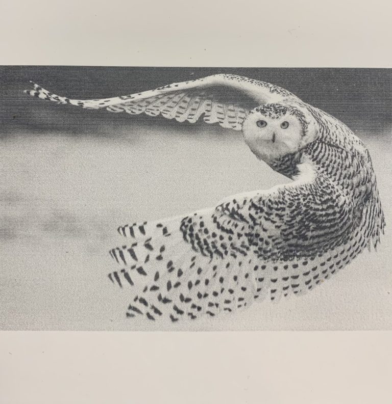 Snow Owl on Ceramic Tile