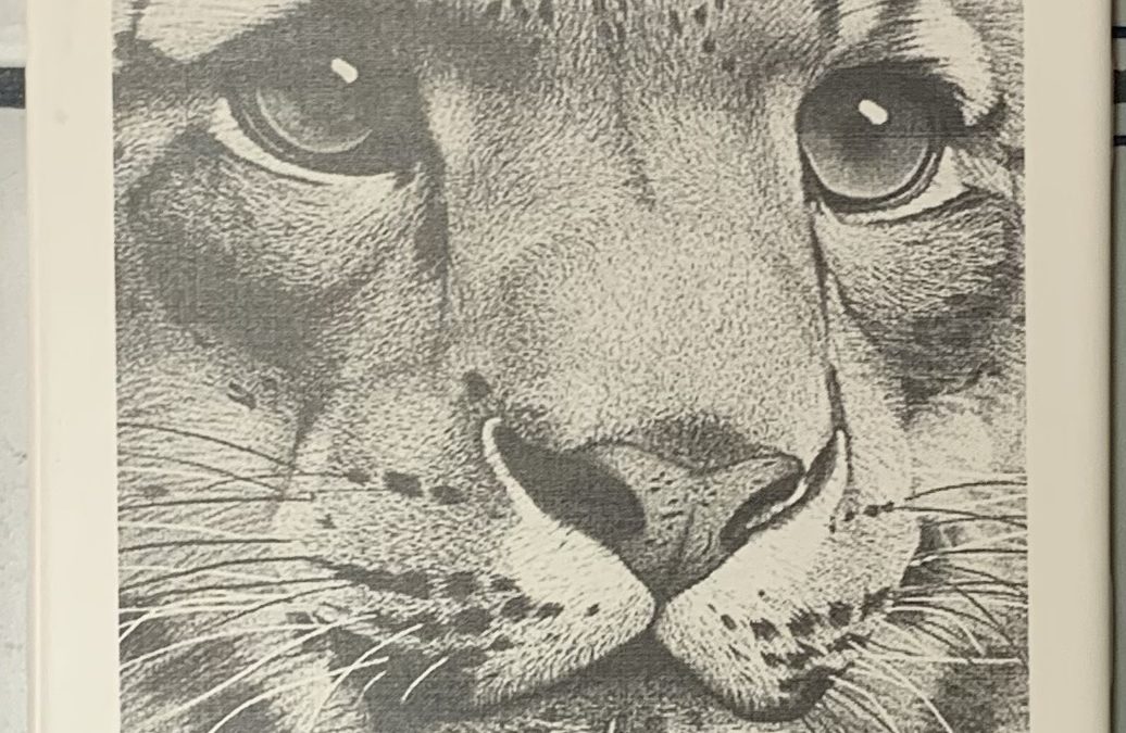 Tiger Face on Ceramic Tile