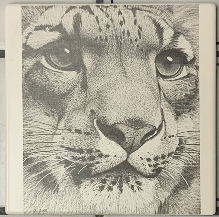 Tiger Face on Ceramic Tile